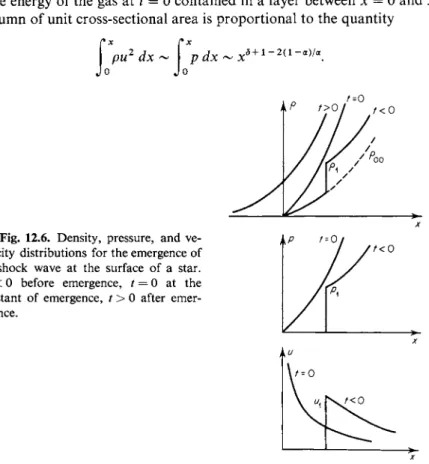 Fig. 12.6. Density, pressure, and ve­