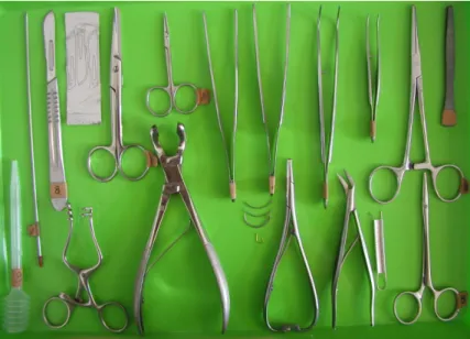 Figure 2.1. The most often used surgical instruments. Upper row: pointed metal rod for destruction of spinal cord in frogs, scalpel (lancet or surgical knife), scalpel with replaceable blades, surgical scissors, ophthalmic iris scissors, smooth (dissecting