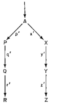 FIG. 6 Progression from a &#34;branch point&#34; in enzyme systems. A, P, Q, etc. are  products of substrates; p', q', r', etc