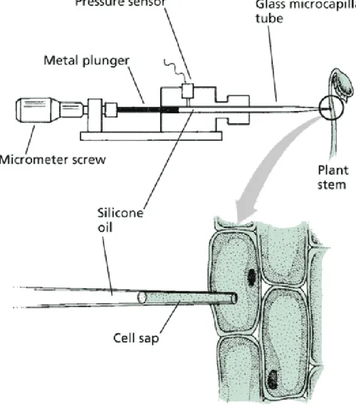 Diagram of the simplest pressure probe