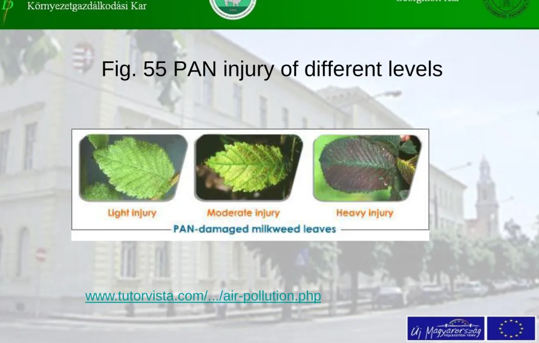Fig. 55 PAN injury of different levels 