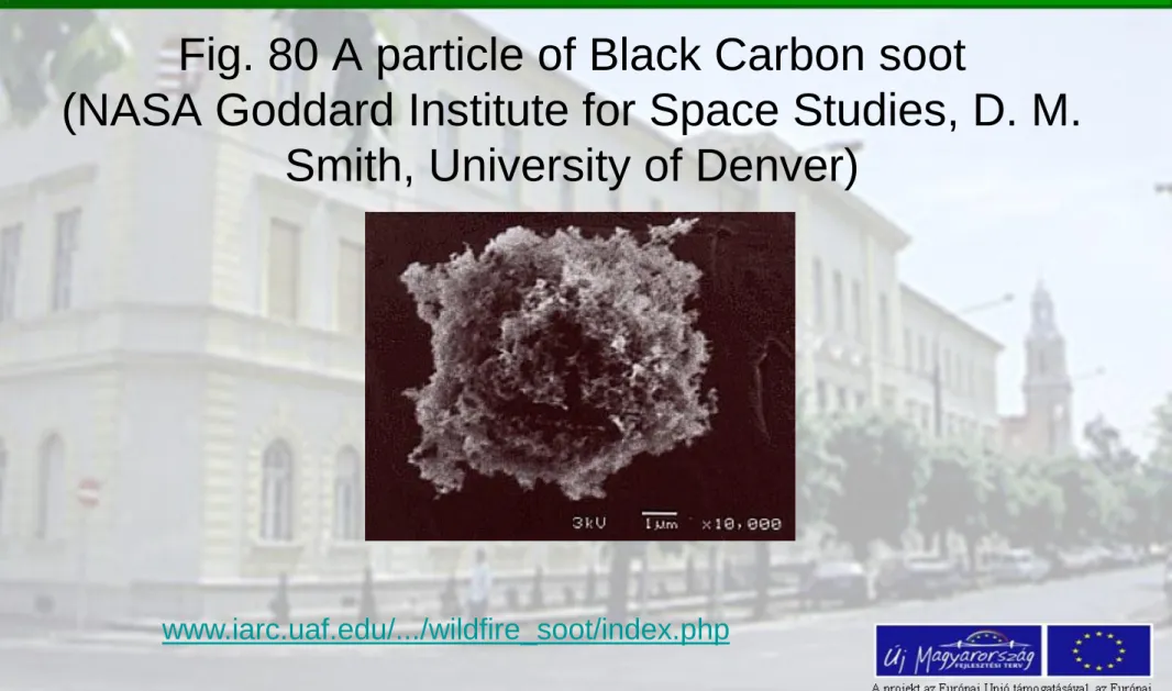 Fig. 80 A particle of Black Carbon soot  