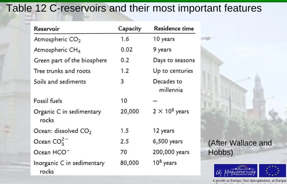 Table 12 C-reservoirs and their most important features 