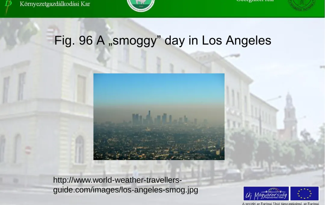 Fig. 96 A „smoggy” day in Los Angeles 