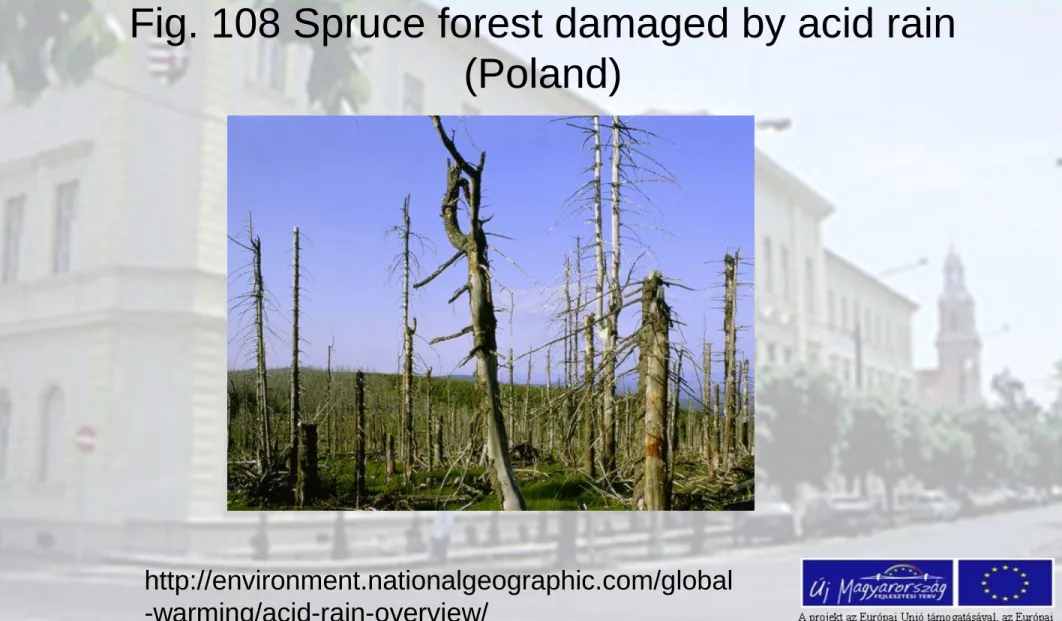 Fig. 108 Spruce forest damaged by acid rain  (Poland) 