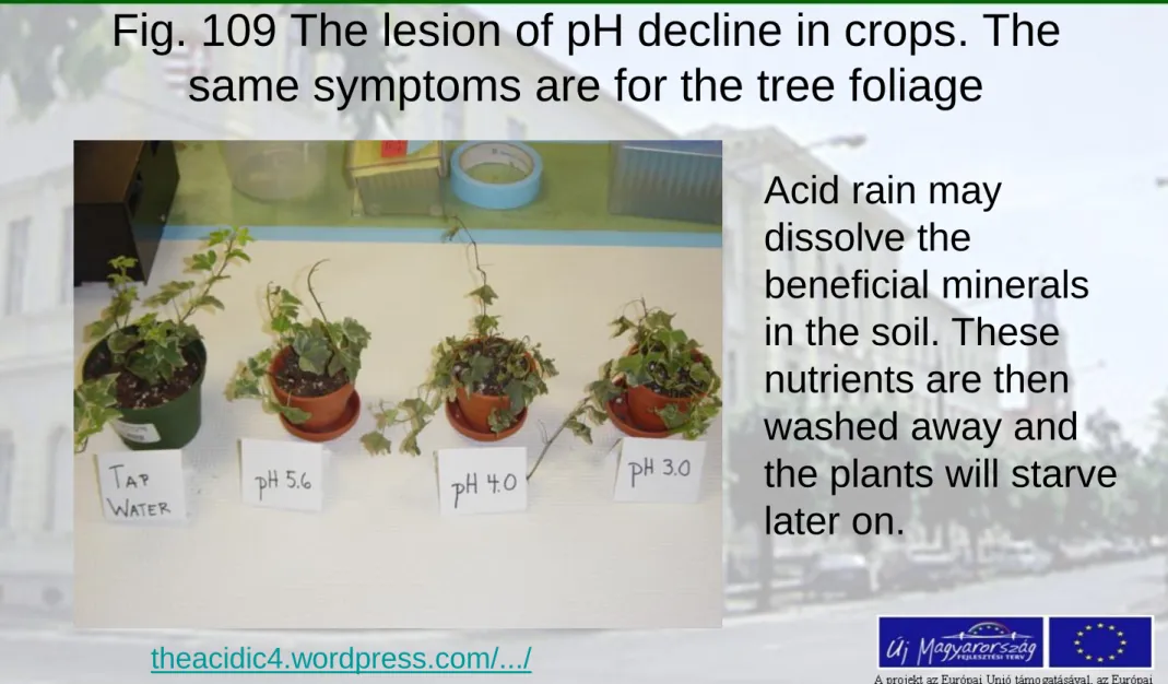Fig. 109 The lesion of pH decline in crops. The  same symptoms are for the tree foliage 
