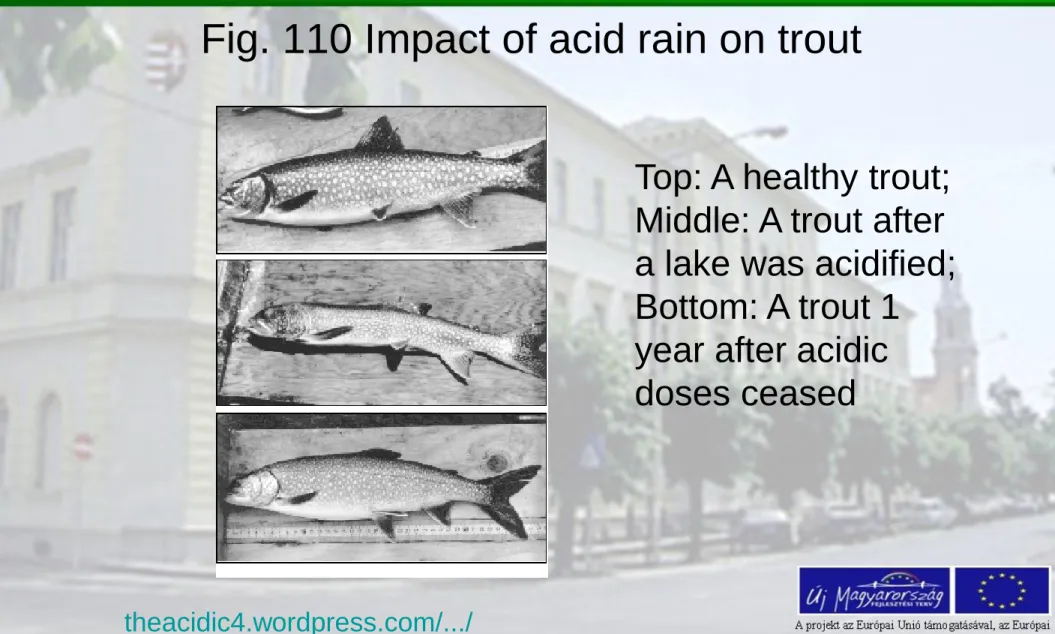 Fig. 110 Impact of acid rain on trout 