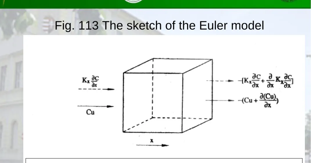 Fig. 113 The sketch of the Euler model   a) Rendezett-          Te  b) Függőleges-Tt  m 