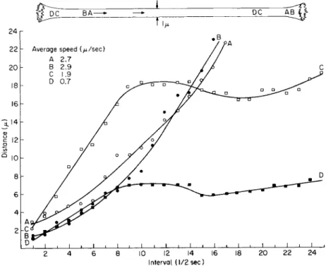 FIG. 4. Transvacuolar strand 1 μ in diameter in an albino cell 120 μ in diameter. 