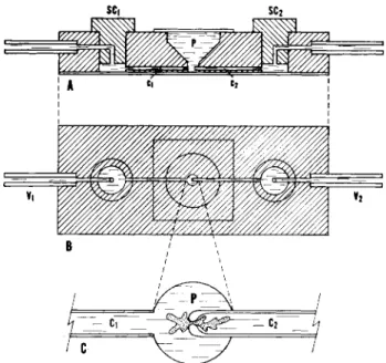 FIG. 4. A Lucite chamber arranged for the constricted orifice method.  ( A ) Side  view