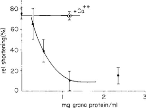 FIG. 2. Inhibition of cellular contraction by grana, isolated from sclera fibroblasts  cultivated in vitro