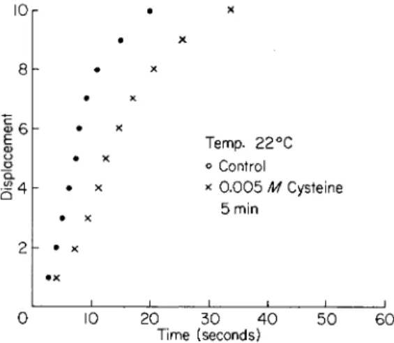 FIG. 6. Unfertilized Arbacia eggs exposed to 0.005 M cysteine dissolved in sea  water for the time noted (15 min)