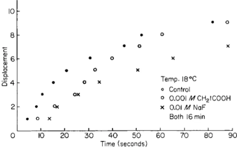 FIG. 8. Unfertilized Arbacia eggs exposed for a period of  1 6 min to  ( 1 )  0 . 0 0 1 M  N a C H 2 I C O O H dissolved in sea water and  ( 2 )  0 