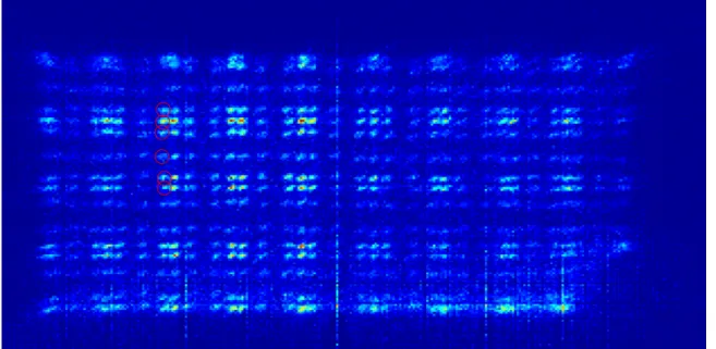 Fig. 1. Anger image of the detector module at 27.4 °C temperature. Some pins are marked  with red circles