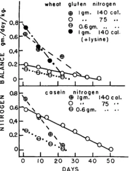 FIG. 4. The nitrogen balances produced in depleted dogs by repleting with  casein nitrogen or wheat gluten nitrogen (see Allison, 1958a,  b ) 