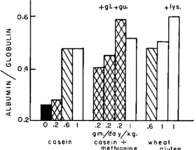 FIG. 5. Albumin/globulin ratios produced during repletion with different  amounts of casein and wheat gluten nitrogen fed to protein-depleted dogs (see text  for details) (taken from Allison and Wannemacher, 1957)