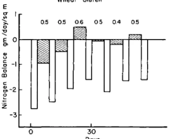 FIG. 3. Effect of feeding a protein-free diet (white bars) alternately with  wheat gluten nitrogen (bars with slanted lines)