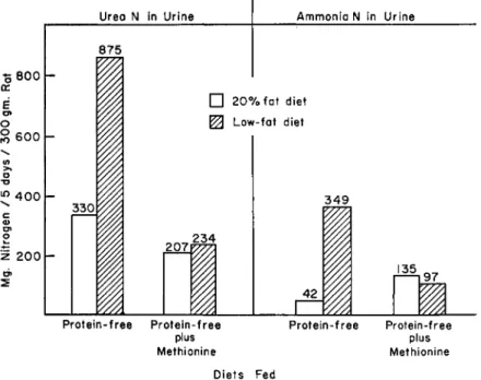 FIG. 7. Urea nitrogen and ammonia nitrogen in urines of rats fed protein-free  diets of restricted value (14 calories per 300-gm