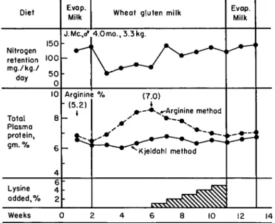 FIG. 3. Effects of a wheat gluten diet on the nitrogen retention, plasma protein  levels, and arginine content of the plasma proteins