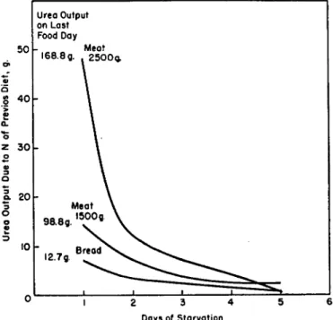 FIG. 6. Effect of previous diet on rate of nitrogen depletion of dogs (data of  Voit, 1866)