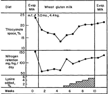 FIG. 1. Effect of a wheat gluten diet and lysine supplementation on nitrogen  retention and thiocyanate space