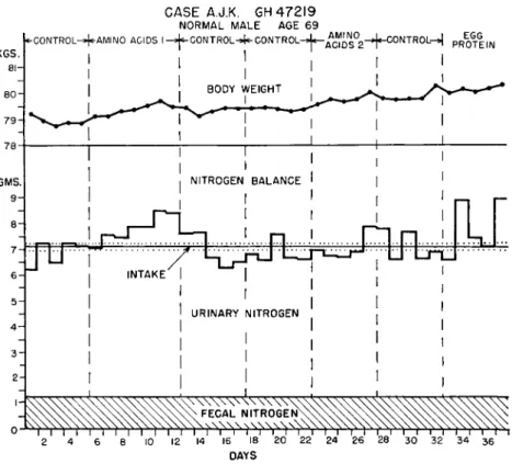 FIG. 1. Balance data from the subject A.J.K. The irregular line above and below  the intake line represents the sum of daily fecal and urinary nitrogen excretion or  the total nitrogen output