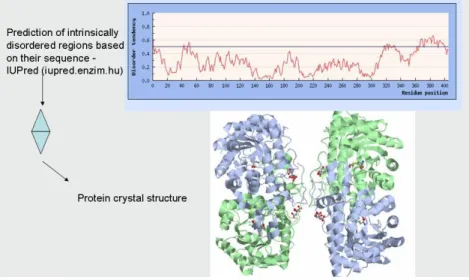 Figure 4.1.The relation between protein structure and the presence of intrinsic disorder