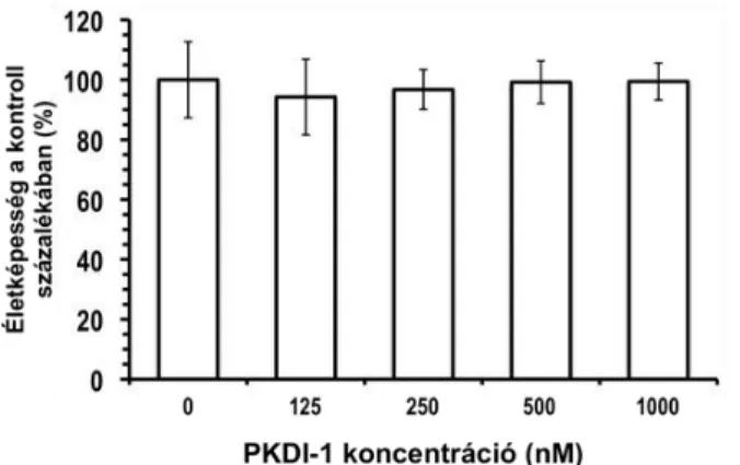 7. ábra. A szelektív PKD gátlószer (PKDI-1) hatása az idegsejtek H 2 O 2  kezeléssel kiváltott pusztulására