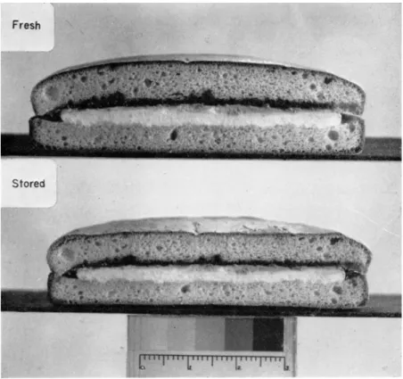 FIG. 3. Sponge sandwich: effect of storage at ambient room temperature. 