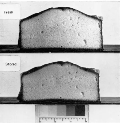 FIG. 4. Madeira cake. Effect of storage in ambient room temperature. 