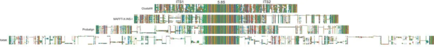 Figure 1. An example of differences in indel placement and alignment overmatching under various alignment algorithms in a family/genus level dataset