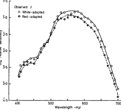 FIG. 3. Foveal sensitivity for two adapting and surround conditions. 