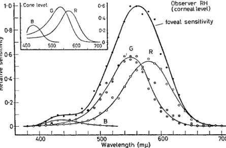 FIG. 7. Contributions of the individual colour-receptor mechanisms to  the total foveal sensitivity of observer R.H