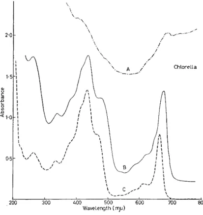 FIG. 22. Photo-induced absorption changes, Chlorella;  ( J O . D . ) m ax  =  i o - 3 