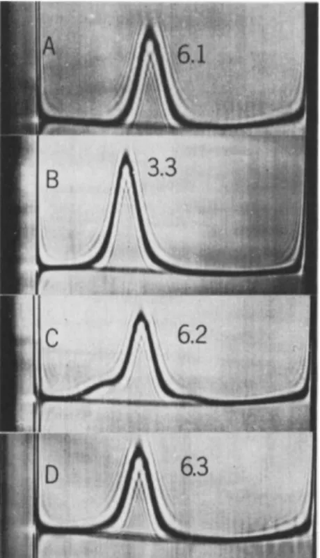 FIG. 3. Schlieren patterns obtained in the ultracentrifuge; an illustration of disso- disso-ciation of reduced rabbit yG-globulin into half-molecules at low pH and reassodisso-ciation  at neutrality