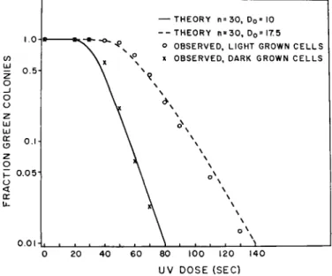 FIG. 9. Inactivation of green colony-forming ability in Euglena by ultraviolet light. 