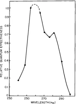 FIG. 11. Action spectrum for ultraviolet inactivation of green colony-forming ability  in Euglena