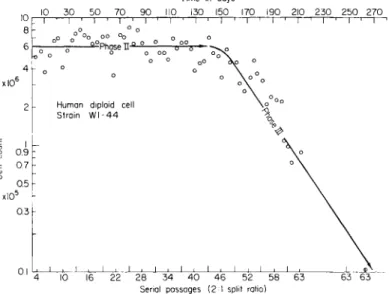 FIG. 3.  T h e number of doublings of a diploid cell strain (WI-44) from human adult  lung tissue from time of primary expiant to phase III decline