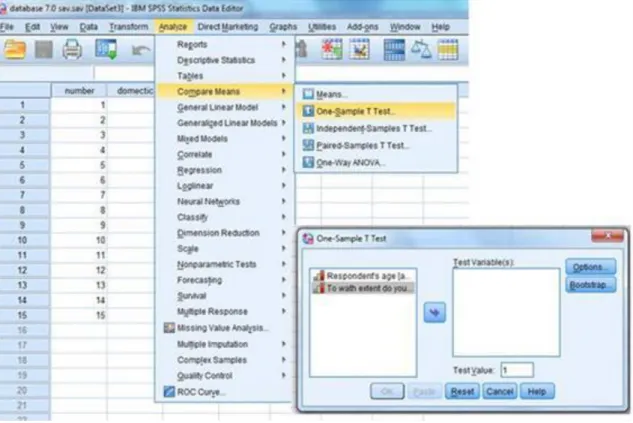 10.9. ábra - Figure 13. Analyse / Compare Means / One-Sample t-test / Output