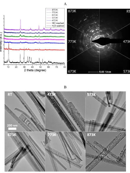 Figure 5. (A) XRD of protonated titanate nanowires treated at diﬀerent temperatures. The bottom graph displays the XRD spectrum of H 2 O washed titanate nanowires