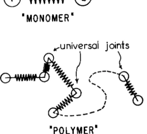 FIG. 1. Two idealized molecular models, whose motions can be given exact mathe- mathe-matical treatment