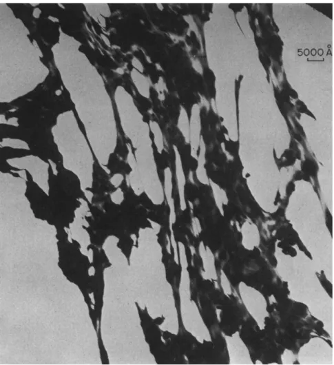 FIG. 7d. Electron micrograph of partly drawn film of polyhexamethylene adipa- adipa-mide showing distortion of spherulites by fibering