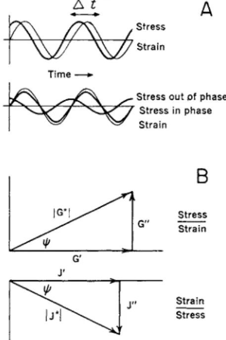 FIG. 5. Sinusoidally varying stress and strain and their in-phase and out-of-phase  ratios