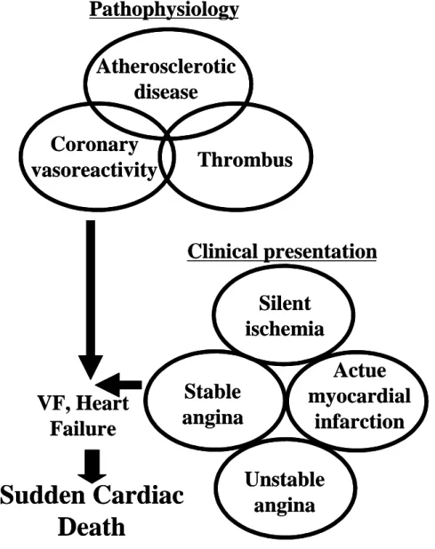 Figure 3. The pathophysiology and clinical presentation of sudden cardiac death. The  pathophysiology of cardiac death includes athero- and coronary sclerosis, thrombus 