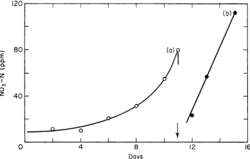 FIG. 5. Nitrification curves obtained during an initial and a second perfusion of soil with  nitrifiable nitrogen (Quastel and Scholefield, 1951)