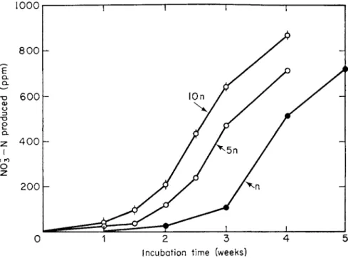 FIG. 6. Influence of initial population of nitrifying organisms on the nitrification pattern in  soil (Sabey et al, 1959)