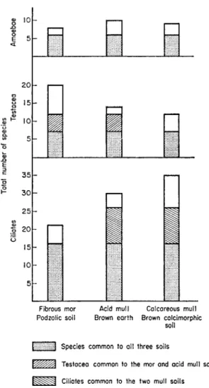 FIG. 6. Distribution of amoeba, testacean, and ciliate species in three beechwood soils on  the Chiltern Hills, England 