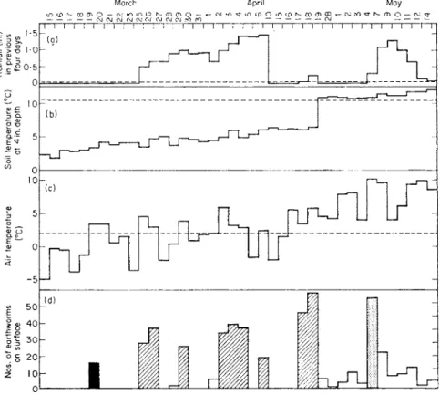 FIG. 9. Surface activity of L. terrestris in relation to rainfall and temperature. 