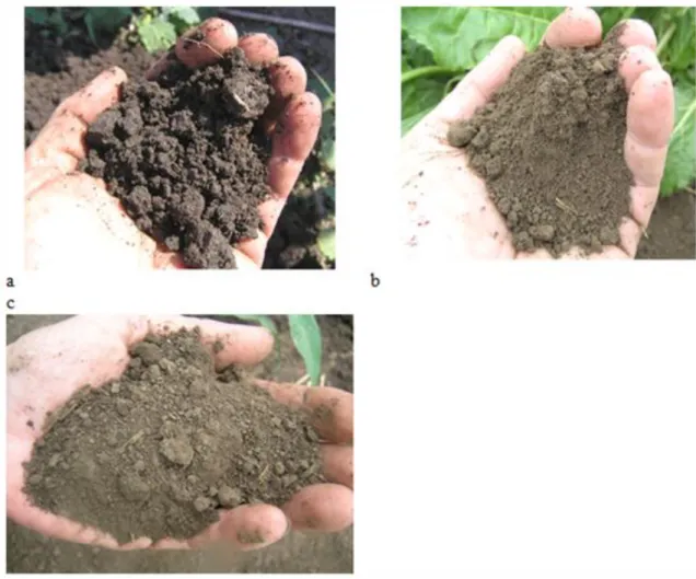 Figure 3.2 A simple palm-probe for soil suitability to tillage: wet (a), humid (b), dry (c) Checking the effectiveness of loosening