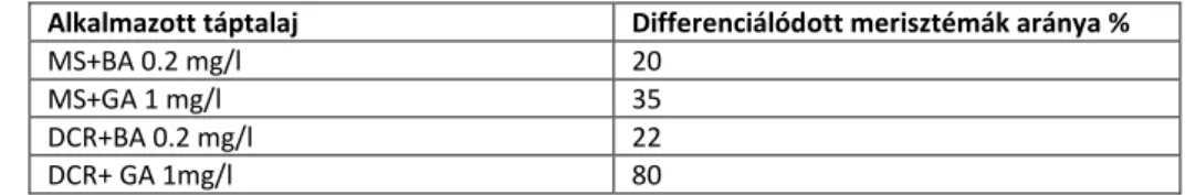 1. kép: Meriszémából differenciálódott rügy 